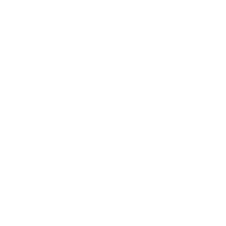 Mashhad city train